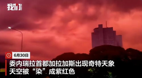 长时间刷短视频会变“笨”?是的 长时间刷短视频会变“笨”?是的