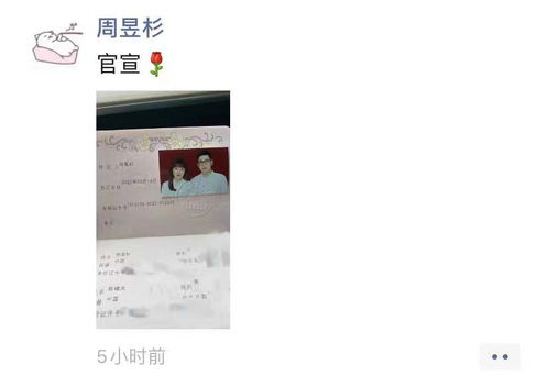 假装吃屎游戏攻略 VS 结婚游戏红线游戏攻略 假装吃屎游戏攻略 VS 结婚游戏红线游戏攻略