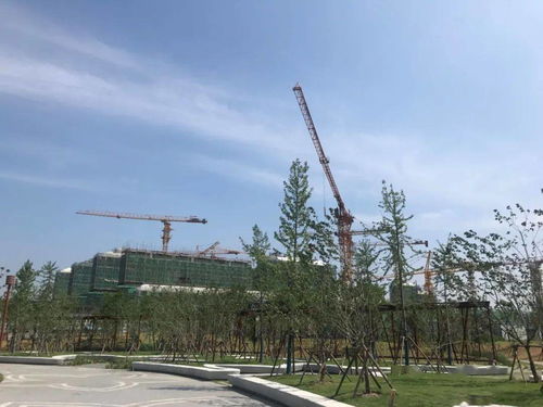博主热熔拼豆致小猫中毒离世 博主热熔拼豆致小猫中毒离世