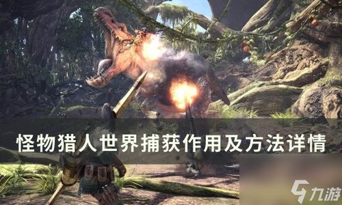 怪兽追捕游戏攻略 VS 橙光游戏宅女攻略制霸