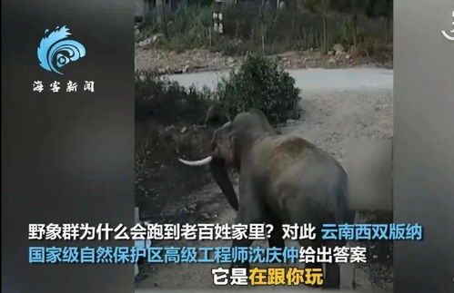 微信剑帝小游戏攻略 VS 女神被车撞游戏攻略