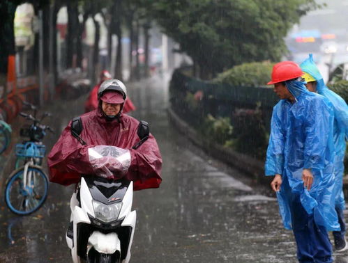你的感觉没错:极端天气越来越常见了 你的感觉没错:极端天气越来越常见了