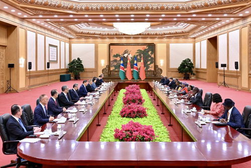 习近平同纳米比亚总统恩代特瓦会谈 习近平同纳米比亚总统恩代特瓦会谈