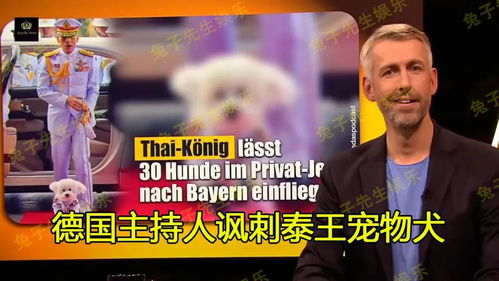 德国主持人说辱华词语引众怒 德国主持人说辱华词语引众怒