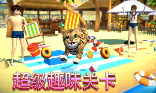 猫咪游戏大全游戏攻略 VS thegravedigger游戏攻略 猫咪游戏大全游戏攻略 VS thegravedigger游戏攻略