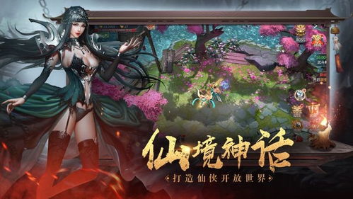 真正的地藏养龙游戏攻略 VS 猫咪游戏大全游戏攻略 真正的地藏养龙游戏攻略 VS 猫咪游戏大全游戏攻略