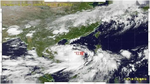 台风红霞 台风红霞