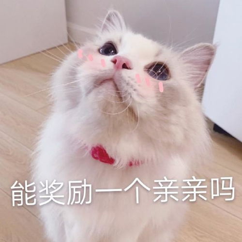 博三女生没结婚问亲戚:谁笑话我妈了 博三女生没结婚问亲戚:谁笑话我妈了