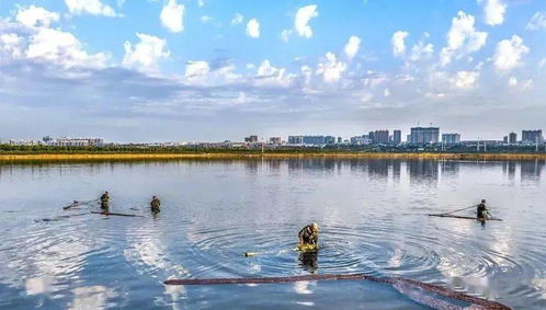 运城盐湖回应3名男子酒后在湖边便溺 运城盐湖回应3名男子酒后在湖边便溺