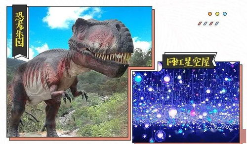 在游戏里开个动物园攻略 VS 抖音广告游戏升星攻略 在游戏里开个动物园攻略 VS 抖音广告游戏升星攻略