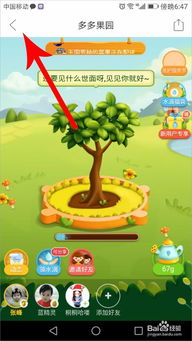 拼多多的小游戏大全攻略 VS 双人游戏游戏攻略手机版 拼多多的小游戏大全攻略 VS 双人游戏游戏攻略手机版