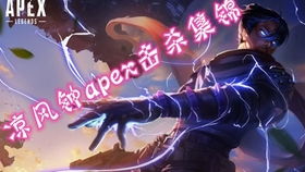 独木森林游戏攻略 VS apexcs游戏攻略 独木森林游戏攻略 VS apexcs游戏攻略