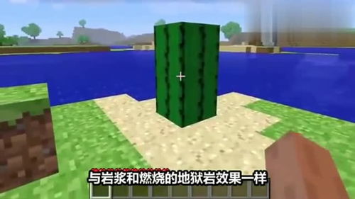 摇滚年代仙人掌攻略游戏 VS 战国七雄桌面游戏攻略 摇滚年代仙人掌攻略游戏 VS 战国七雄桌面游戏攻略