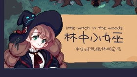 超级少女心游戏跑图攻略 VS insane游戏攻略