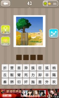 感情成语游戏攻略 VS 游戏瞄准游戏攻略