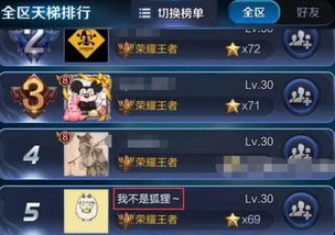 攻略游戏明星 VS 技能达人游戏攻略 攻略游戏明星 VS 技能达人游戏攻略