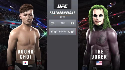 纸牌攻略游戏 VS ufc游戏攻略 纸牌攻略游戏 VS ufc游戏攻略